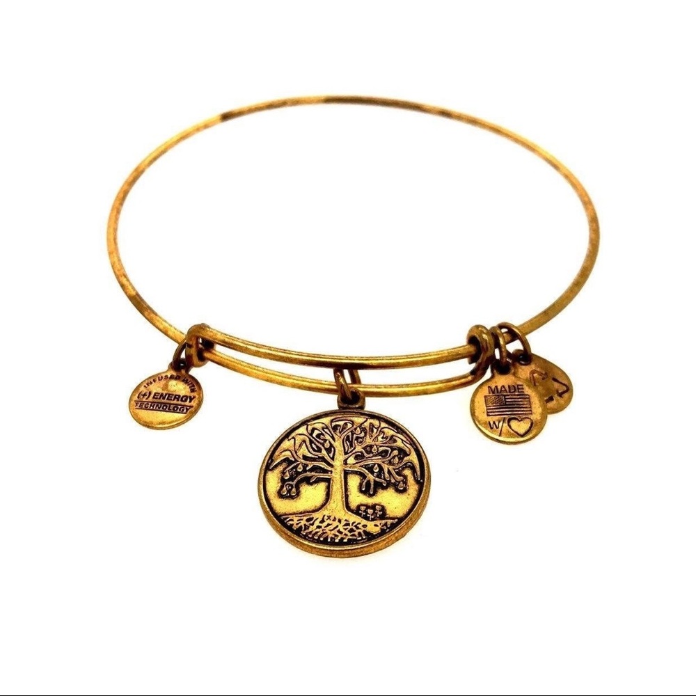 Alex and Ani Tree of Life Bracelet
